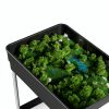 Nieifi Spice Organization for Cabinet-Vertical Spice Rack Pull Out-Spice Rack Organizer for Cabinet-4-1/3 inch Wide-Seasoning Kitchen Organizer-4.3" W x 10.6" D x 8.7" H-2 Pack-2 Tier-7